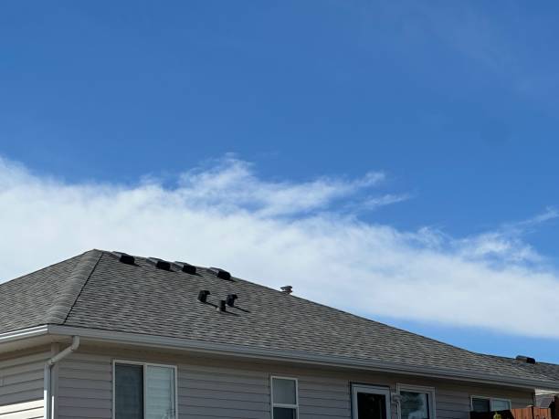 Best Roof Leak Repair  in South Shore, KY